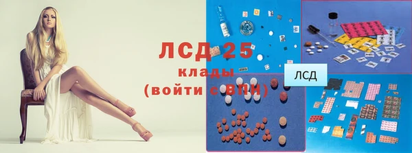 ECSTASY Нея