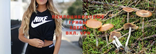 марки nbome Нефтегорск