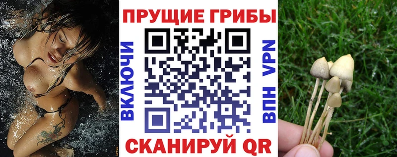 купить закладку  Радужный  Псилоцибиновые грибы мухоморы 